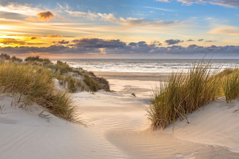 Comfort Vlieland iStock-1302442639 - duinen
