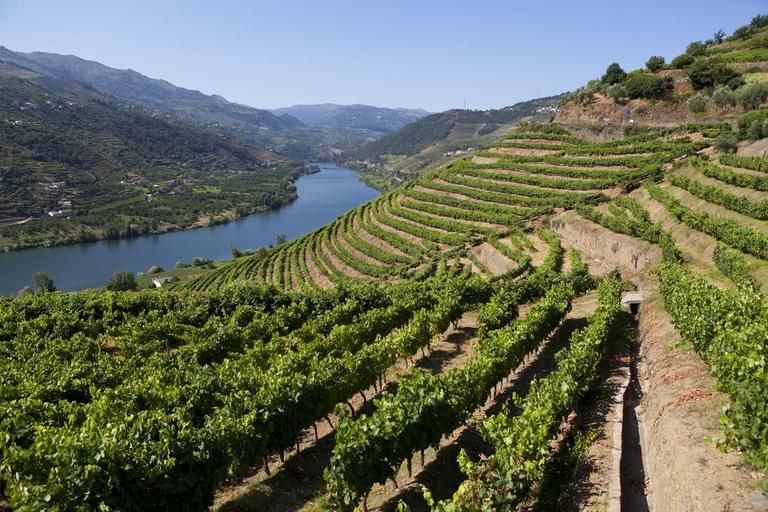 Comfort Douro Cruise iStock-175598112 - Douro Vallei