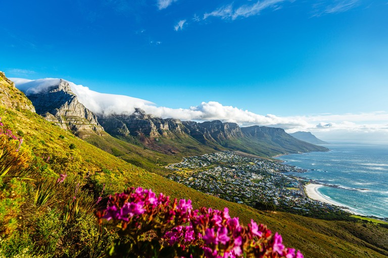 Comfort Zuid-Afrika iStock-2253282166 View from Lions Head