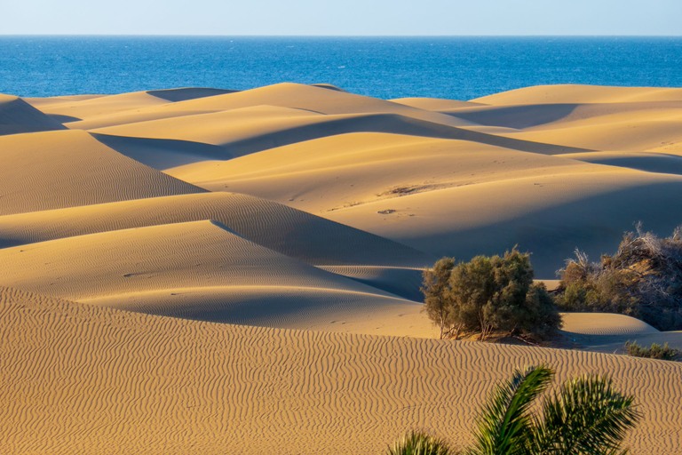 Comfort Gran Canaria iStock-1130330780 - Dunes of Maspalomas